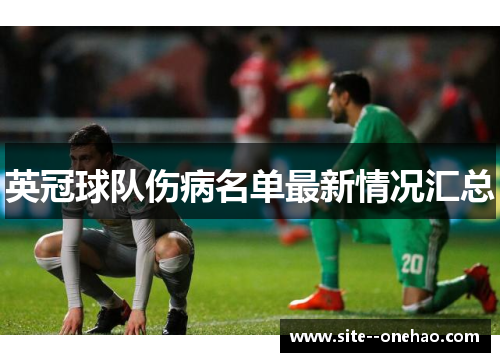英冠球队伤病名单最新情况汇总