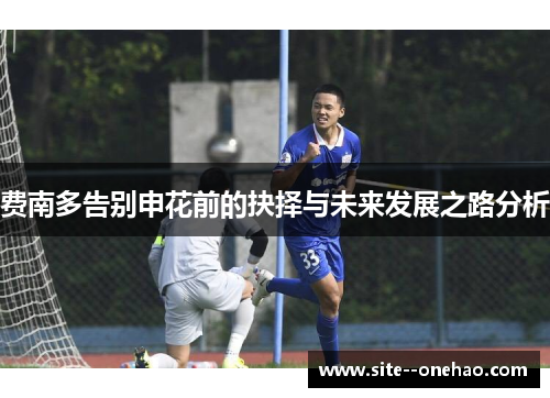 费南多告别申花前的抉择与未来发展之路分析