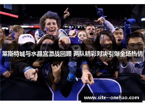 莱斯特城与水晶宫激战回顾 两队精彩对决引爆全场热情 莱斯特城与水晶宫激战回顾 两队精彩对决引爆全场热情