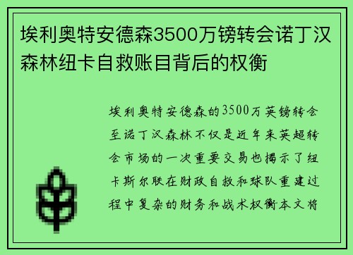 埃利奥特安德森3500万镑转会诺丁汉森林纽卡自救账目背后的权衡